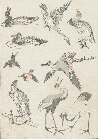 イメージ:葛飾北斎 「北斎漫画」